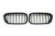 Ніздрі Чорний мат ( Подвійні M-Look ) на BMW 1 Series F20 / F21 2015-2019 року MW-F20152 фото 1
