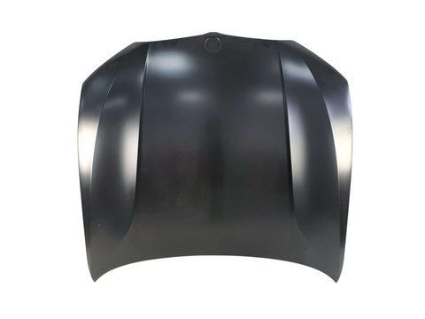 Капот ПОШКОДЖЕНИЙ №1 на BMW 3 Series G20 / G21 2018-2022 року 41008494446(1) фото