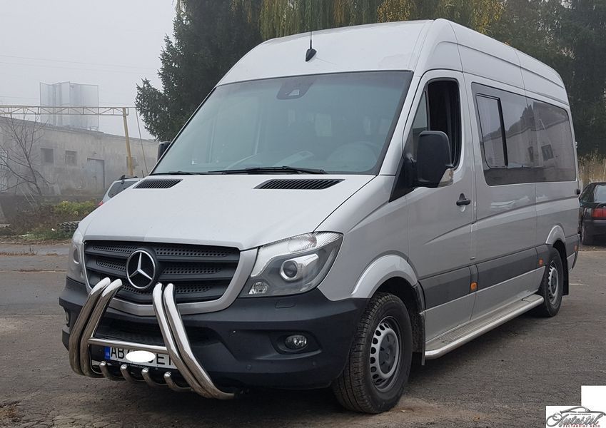 Кенгурятник на Mercedes Sprinter 2006-2018 MBSP.07.F1-01.6 фото