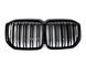 Ніздрі Чорний глянець ( Подвійні M-Look ) на BMW X7 G07 2018-2022 року MW-G07182 фото 1