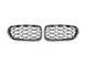 Ніздрі Diamond Silver ( хром рамка ) на BMW 5 Series F10 / F11 2010-2017 року MW-F10156 фото 1