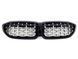 Ніздрі Silver Diamond на BMW 3 Series G20 / G21 2018-2022 року MW-G20195 фото 1