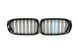 Ніздрі M-color ( Подвійні M-Look ) на BMW X3 F25 2014-2017 року MW-F25143 фото 1