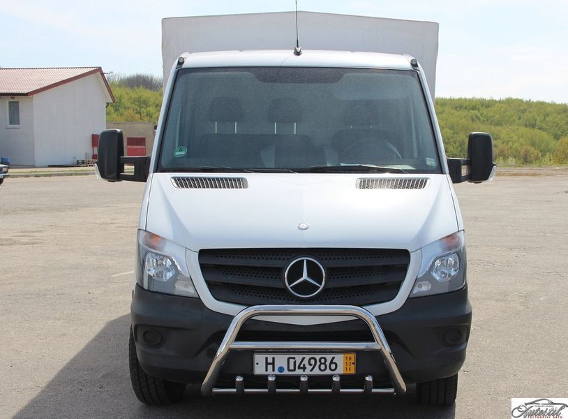 Кенгурятник WT003 (нерж.) Mercedes Sprinter 2006-2018 MBSP.07.F1-21S.6 фото