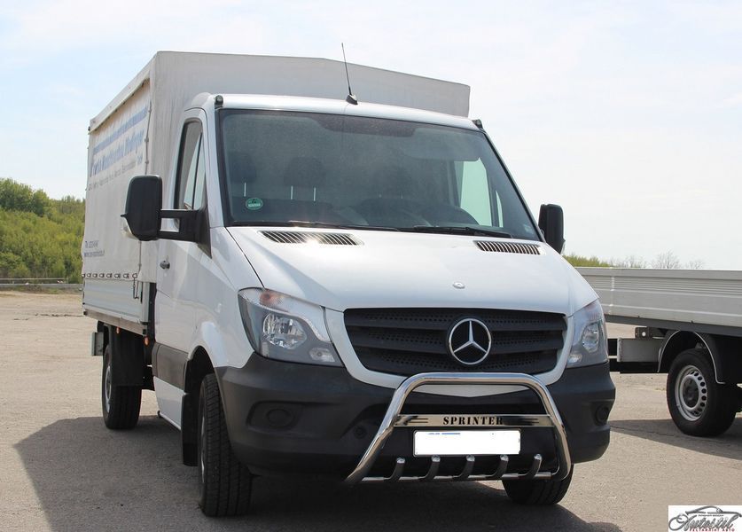 Кенгурятник WT003 (нерж.) Mercedes Sprinter 2006-2018 MBSP.07.F1-21S.6 фото
