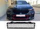 Решітки в бампер на BMW X6 G06 2019-2022 року 51118069943 фото 1