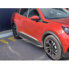Peugeot 2008 2019 Молдинг дверний (4 шт, нерж)